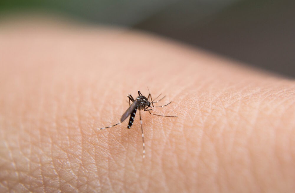 West Nile Virus: A Growing Concern for Hotels