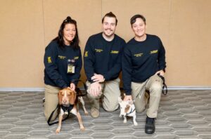 Montgomery County Commercial Exterminators 2