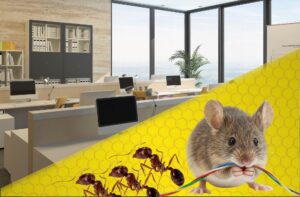 Burlington Township Commercial Pest Control