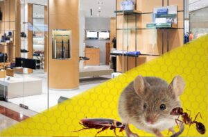 ommercial Exterminators in Burlington City